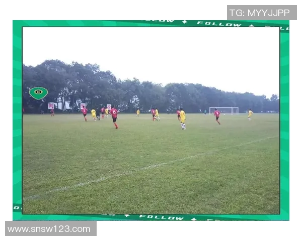 上港与国安精彩对决视频回放全程回顾及精彩瞬间分析